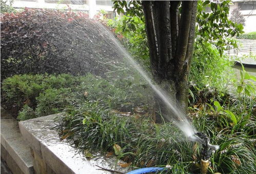 昆明考綠化工證及體育場地設(shè)施工程施工指南 難度、費用與準入解析