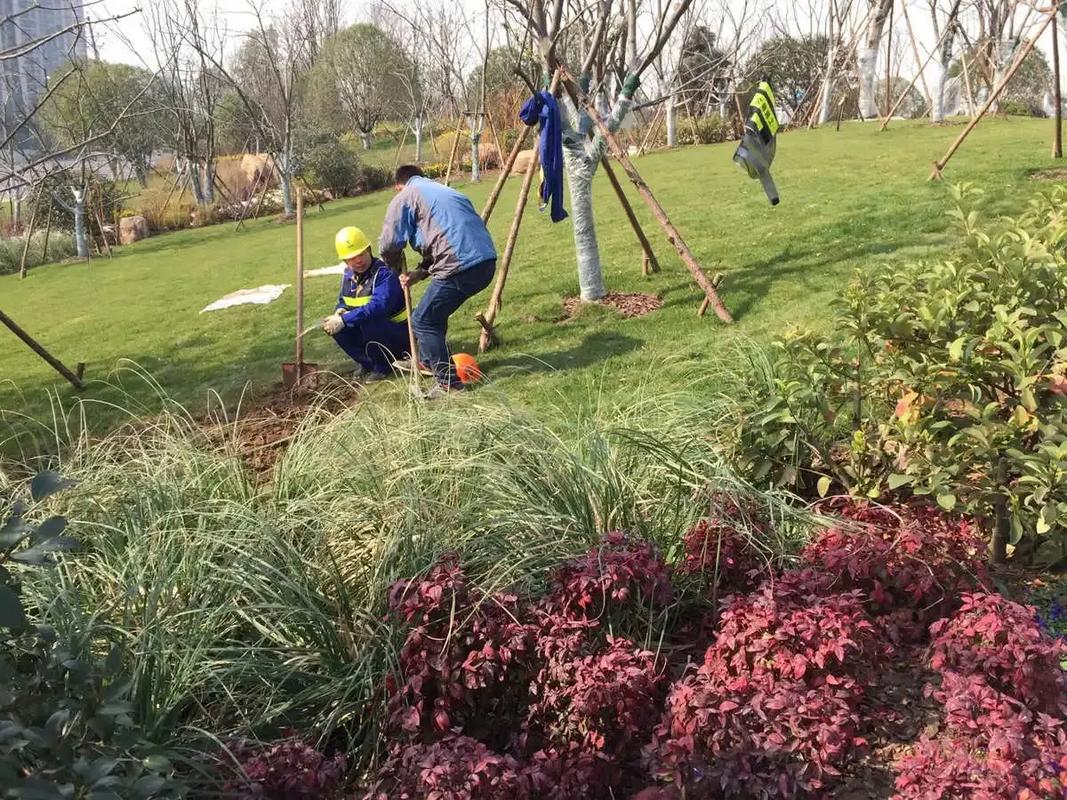 邊坡綠化工程 專業施工，筑造綠色家園的生態屏障